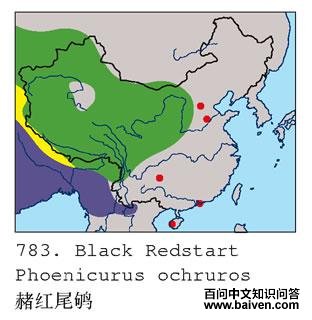 ����β�ĵ����ֲ�ͼ