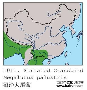 �����βݺ�ĵ����ֲ�ͼ