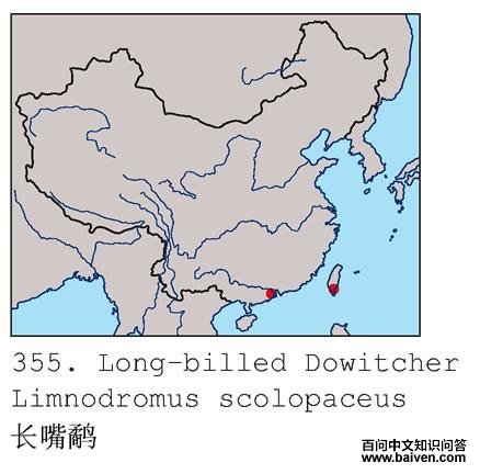 �����ֵĵ����ֲ�ͼ