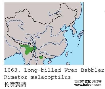 �������̵ĵ����ֲ�ͼ