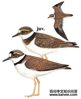 ���콣�a��ͼ��