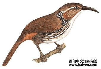 ���칳���̵�ͼ��