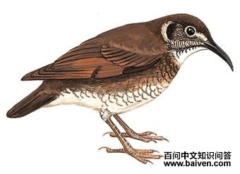 �������ͼ��