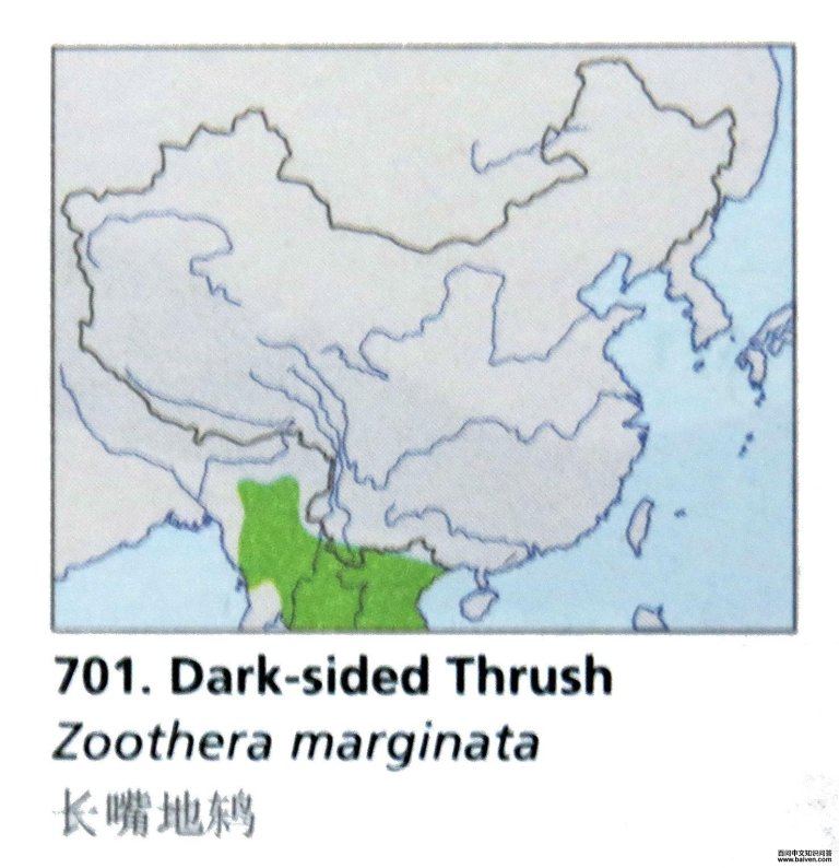 ������ĵ����ֲ�ͼ