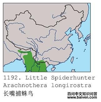 ���첶����ĵ����ֲ�ͼ