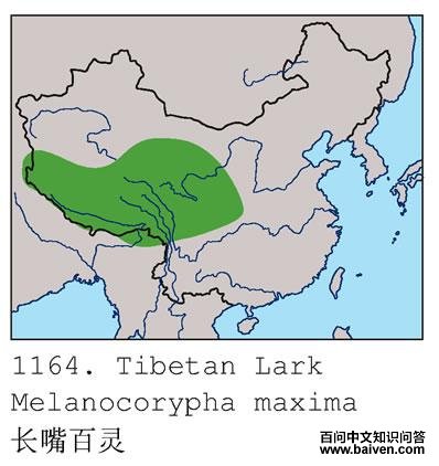 �������ĵ����ֲ�ͼ