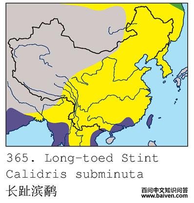 ��ֺ���ֵĵ����ֲ�ͼ