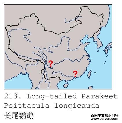 ��β���ĵĵ����ֲ�ͼ