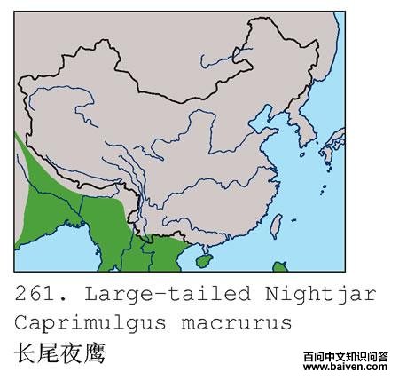 ��βҹӥ�ĵ����ֲ�ͼ