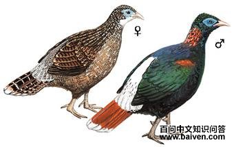 ��β�Һ�����ͼ��