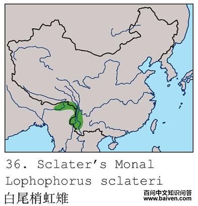 ��β�Һ����ĵ����ֲ�ͼ