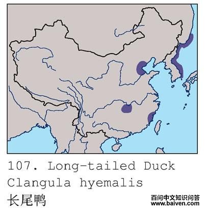 ��βѼ�ĵ����ֲ�ͼ