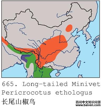 ��βɽ����ĵ����ֲ�ͼ