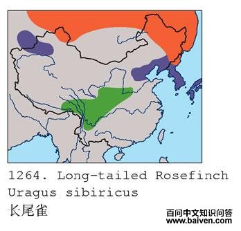 ��βȸ�ĵ����ֲ�ͼ