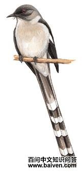 ��β���̵�ͼ��