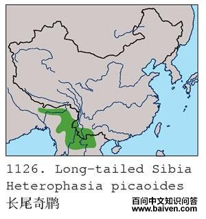 ��β���̵ĵ����ֲ�ͼ