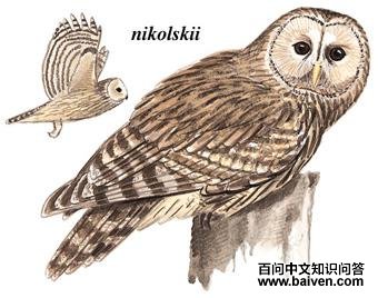 ��β���^��ͼ��