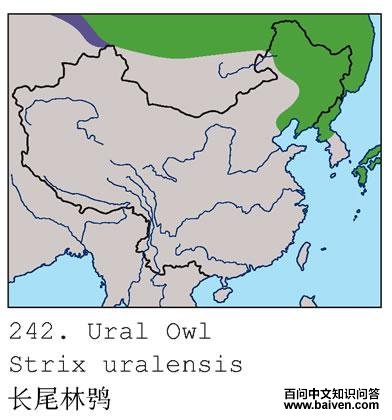 ��β���^�ĵ����ֲ�ͼ