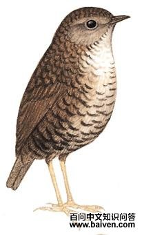 ��β���̵�ͼ��