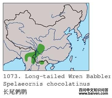 ��β���̵ĵ����ֲ�ͼ