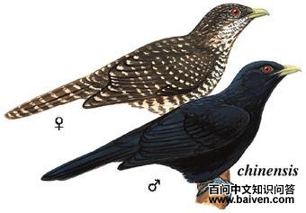 ����ͼ��