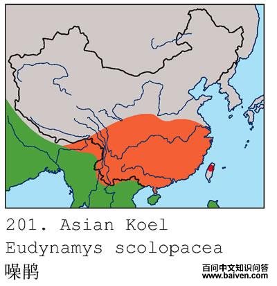 ���ĵ����ֲ�ͼ