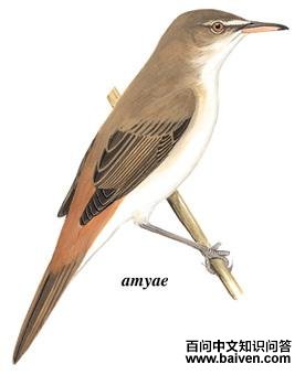 ���έݺ��ͼ��