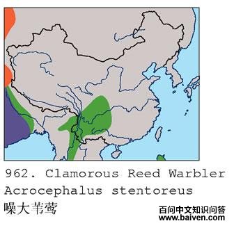 ���έݺ�ĵ����ֲ�ͼ