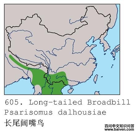 ��β������ĵ����ֲ�ͼ