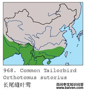 ��β��Ҷݺ�ĵ����ֲ�ͼ