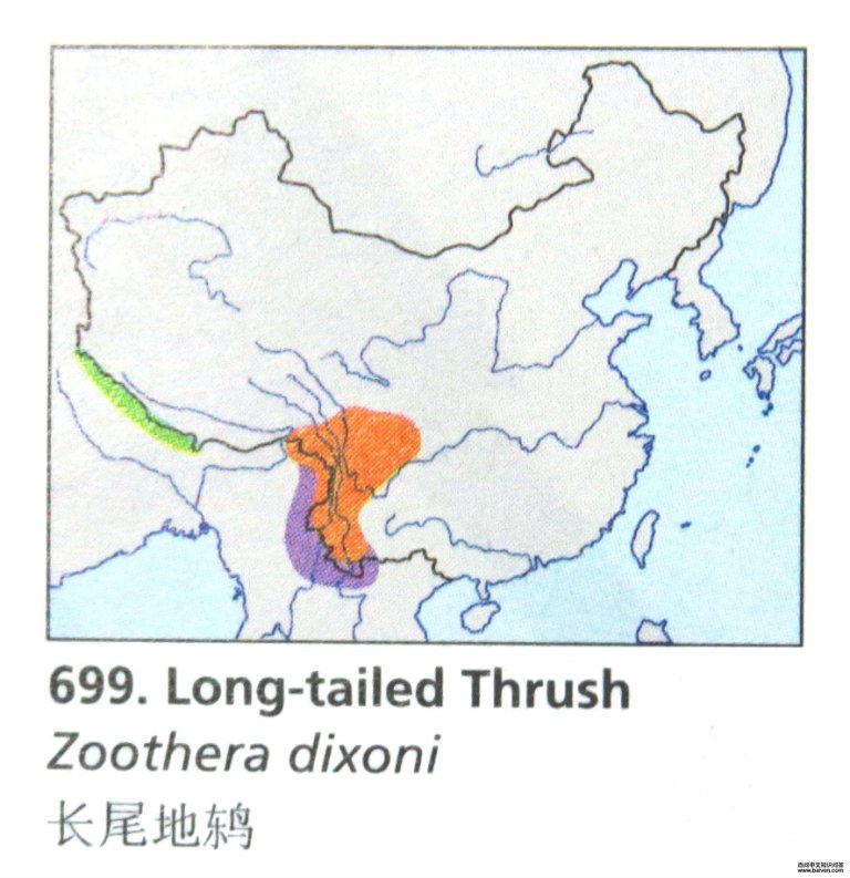 ��β���ĵ����ֲ�ͼ