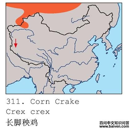 ���������ĵ����ֲ�ͼ