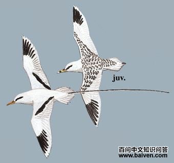 ��β�s��ͼ��