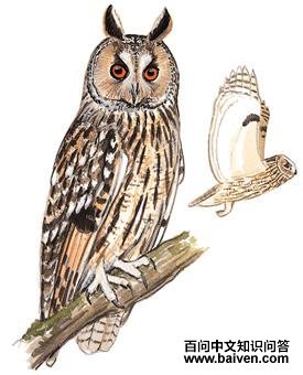 �����^��ͼ��