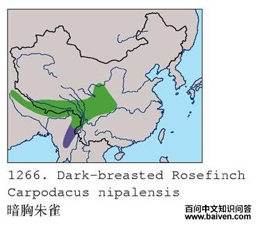 ������ȸ�ĵ����ֲ�ͼ