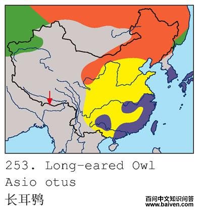 �����^�ĵ����ֲ�ͼ