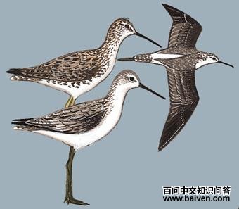 ���ֵ�ͼ��