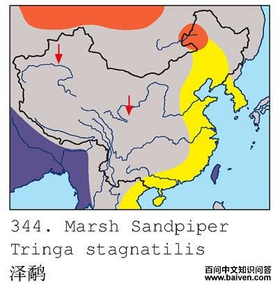 ���ֵĵ����ֲ�ͼ