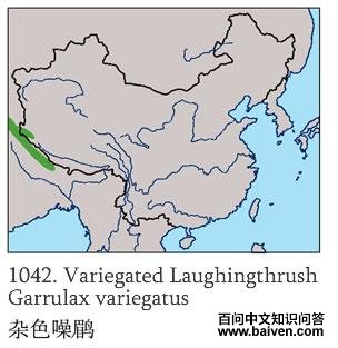 ��ɫ���̵ĵ����ֲ�ͼ