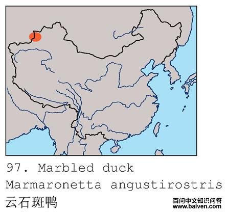 ��ʯ��Ѽ�ĵ����ֲ�ͼ