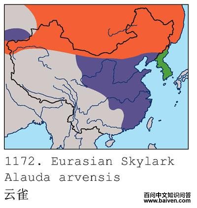 ��ȸ�ĵ����ֲ�ͼ