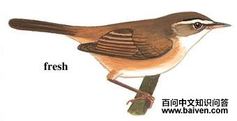 Զ��έݺ��ͼ��