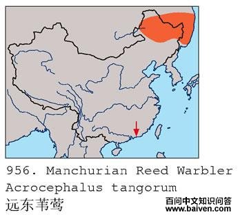 Զ��έݺ�ĵ����ֲ�ͼ