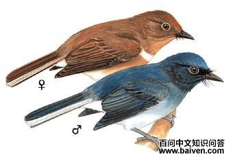 ��β�����l��ͼ��