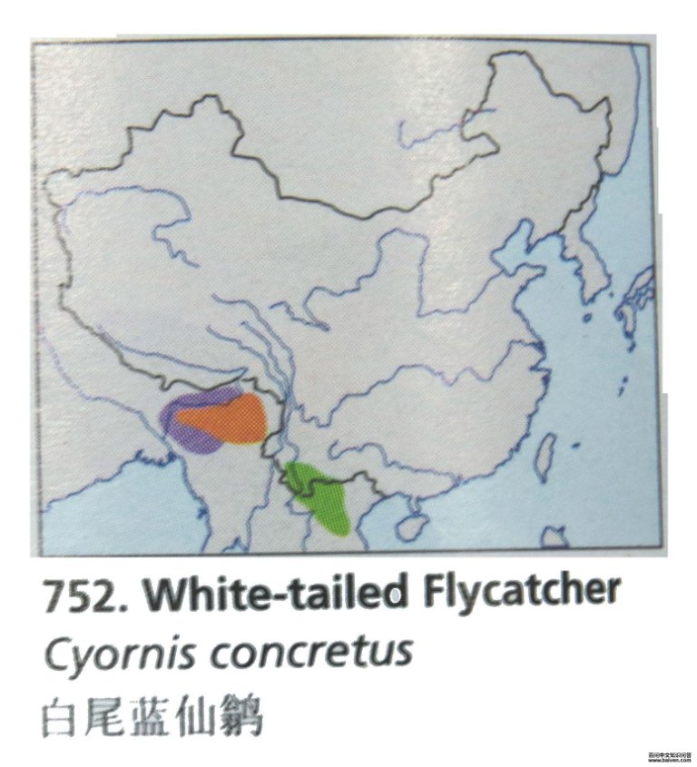 ��β�����l�ĵ����ֲ�ͼ