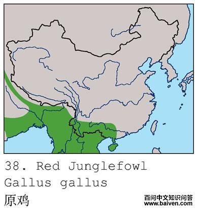 ԭ���ĵ����ֲ�ͼ