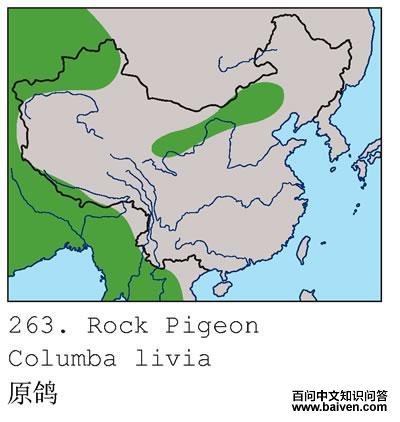 ԭ��ĵ����ֲ�ͼ