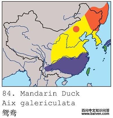 ԧ��ĵ����ֲ�ͼ