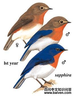 ��ͷ[��]�l��ͼ��