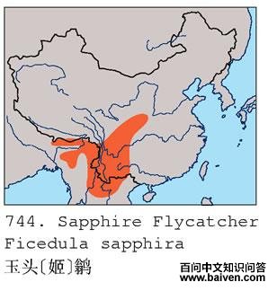 ��ͷ[��]�l�ĵ����ֲ�ͼ